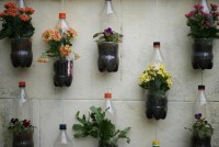 /album/galeria-de-fotos-pagina-inicial2/flores-jpg/
