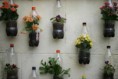 /album/ideias-praticas/flores-jpg1/